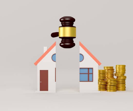 Partition or division of the Property 5 NRI Judgment in India